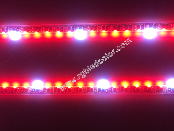 tiras llevadas de emisión laterales digitales 60led del rgb