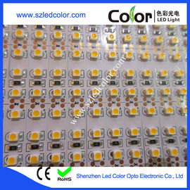 China 2800-3200k calientan el color blanco 3528 el 120led/m proveedor
