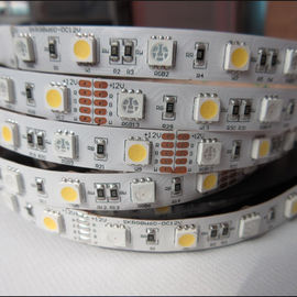 China Tira del color LED de 5050 RGB+White proveedor