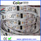 Tira direccionable controlada individual de DC5V los 60led/m UCS2912 RGBW LED proveedor