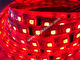 luz de la decoración RGBW LED DMX de la iluminación del disco proveedor